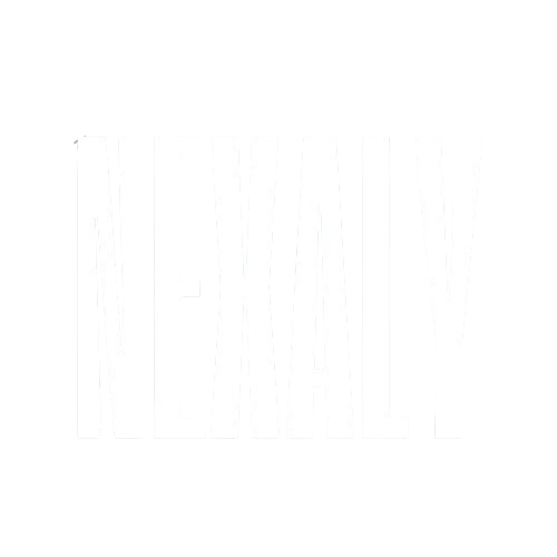 Nexaly Studio